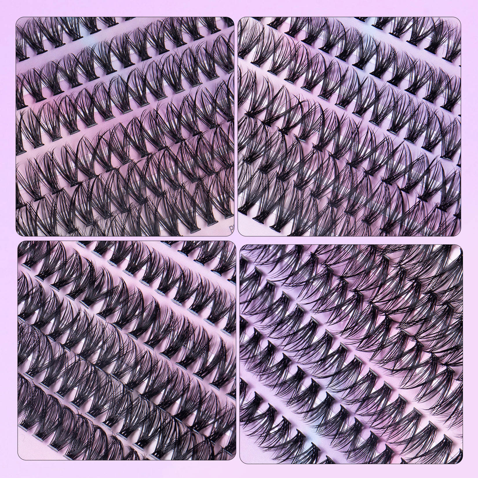 12 Rows Of 30D Plus 40D Clusters Of 240 Segmented Lashes Set - Anaya Beauty